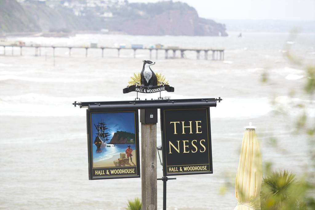 Bed and Breakfast The Ness Teignmouth Exterior foto